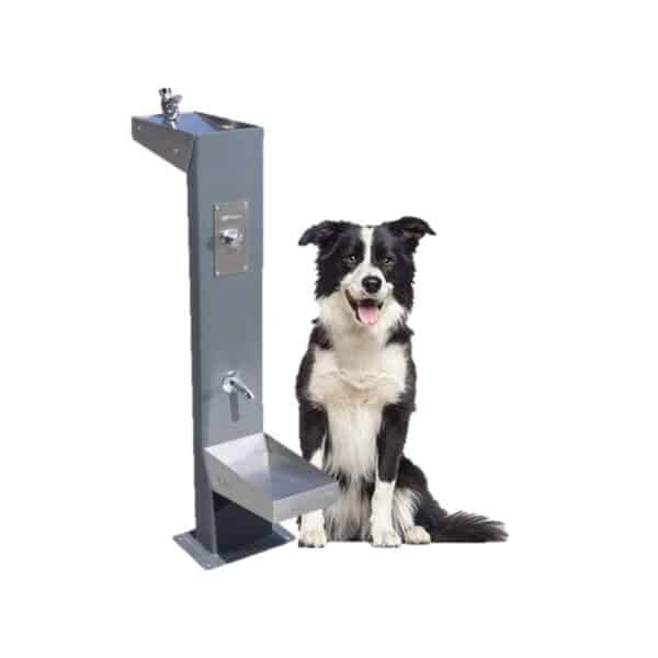 Illustration d'un chien à côté d'une fontaine à eau potable maitre et animal