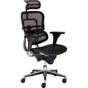 Photo d'un siège de direction ergohuman assise, dossier et têtière en résille indéformable vue 3/4 face