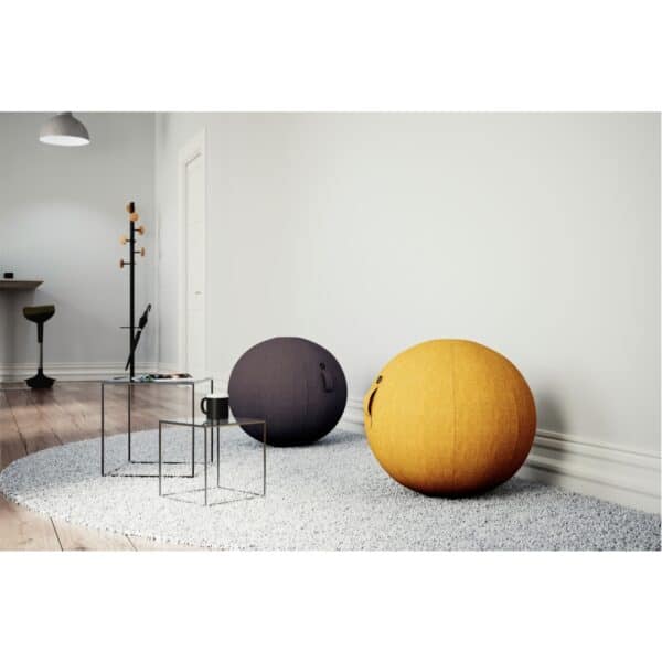 Photo d'un ballon d'assise ergonomique noir et un jaune dans un espace de détente