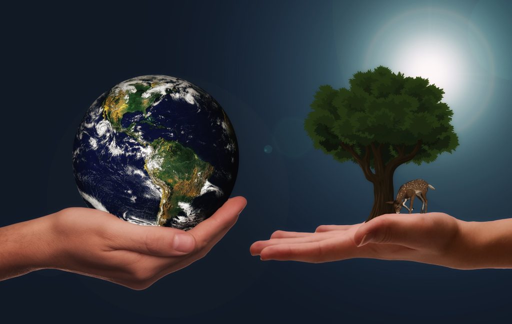 Illustration d'une main tenant la Terre face à une main tenant un arbre, symbolisant l'écologie, sur un fond bleu